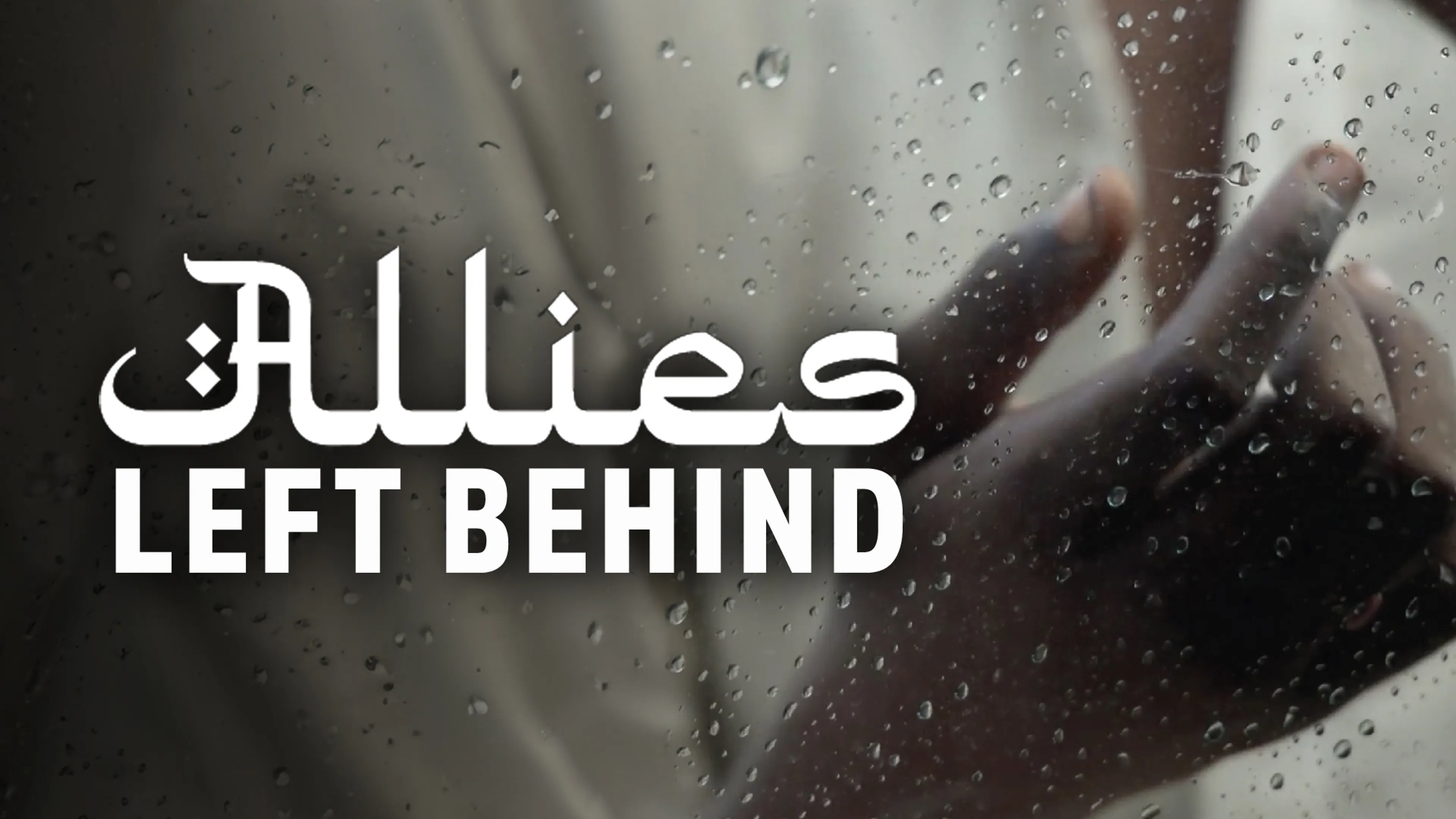 Allies Left Behind poster